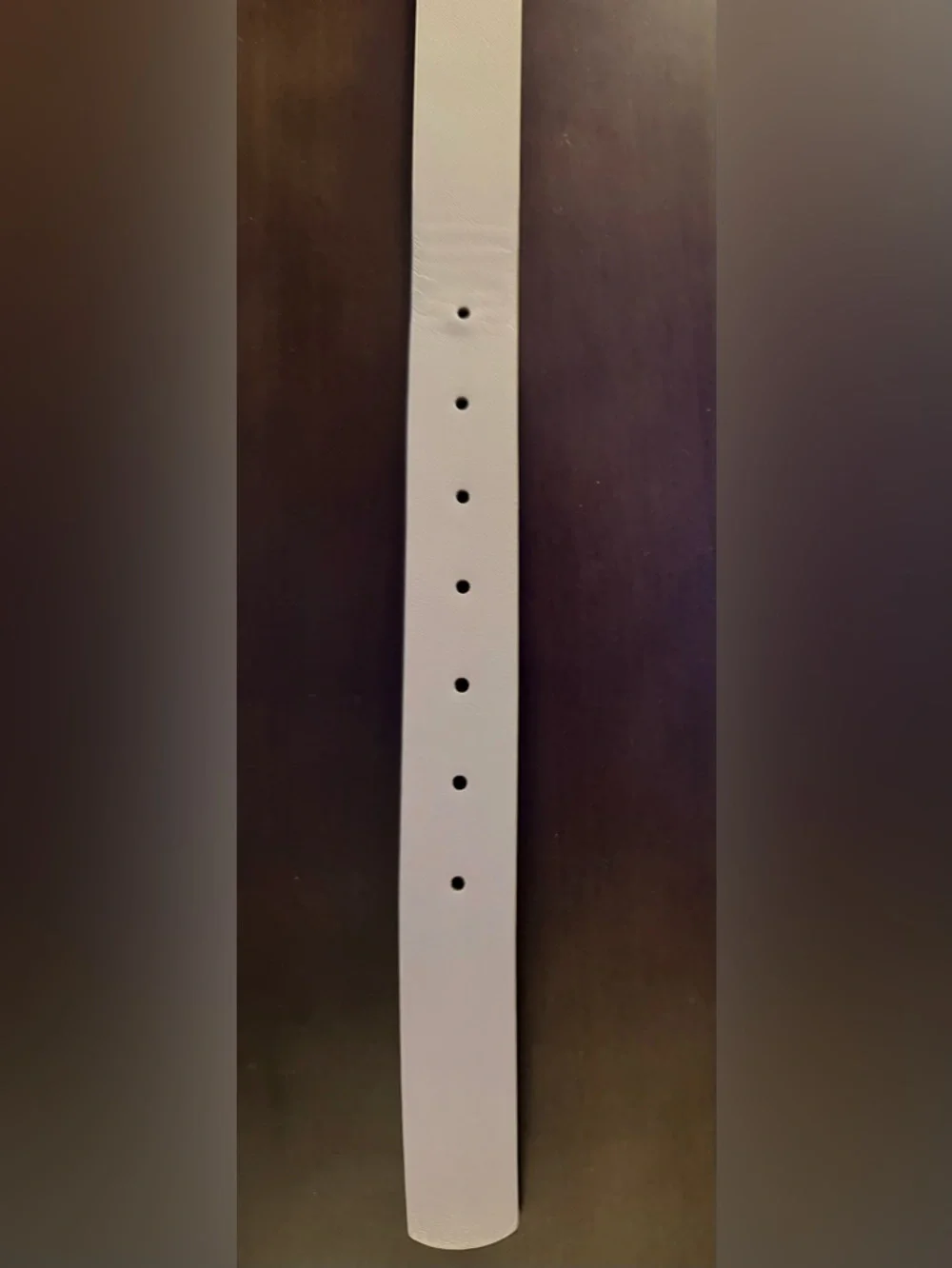 Earnda Faux Leather Belt
